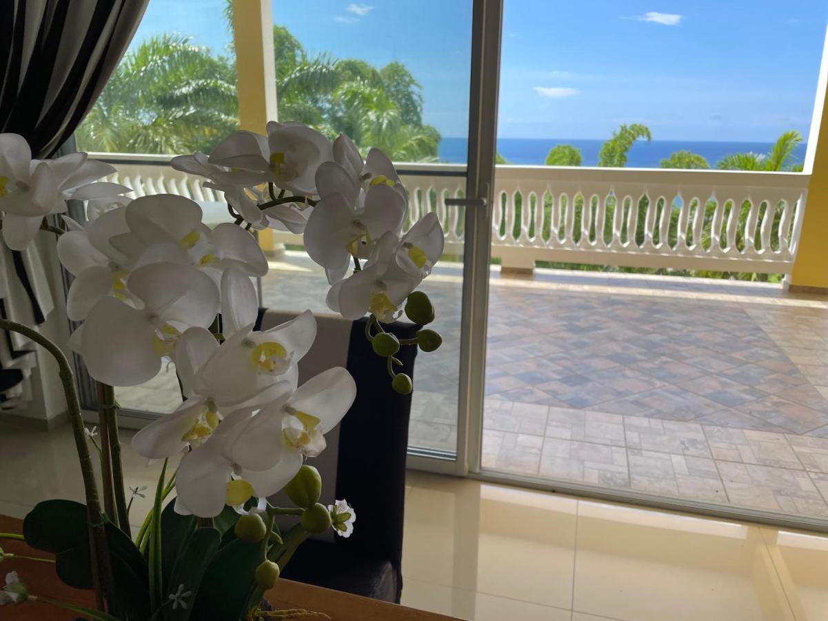 Spring Garden Mobay Resort Luxurious Apartments Montego Bay Kültér fotó